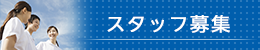 スタッフ募集